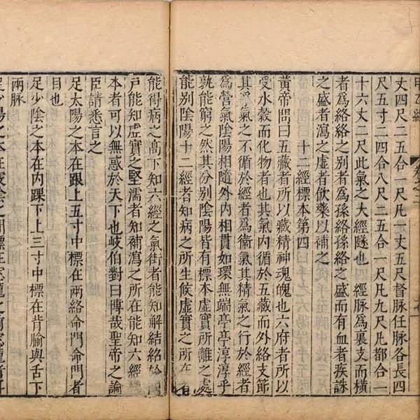《针灸甲乙经》十二卷(明万历二十九年吴勉学刊. 古今医统正脉全书本) 21